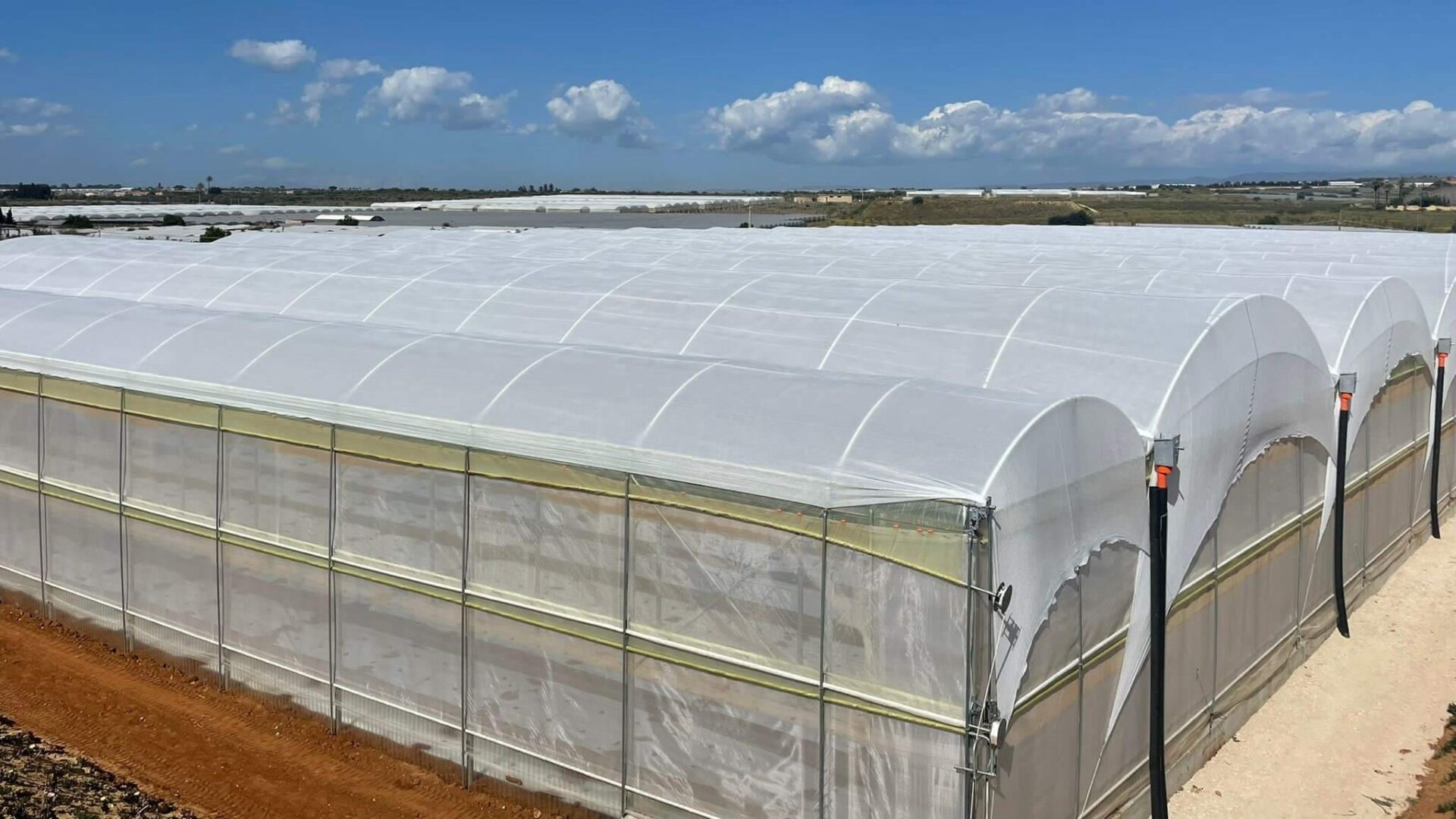 Prisma Ldf Strong_Arrigoni 1|Arrigoni_Biorete Air Plus|Prisma Ldf Strong_Arrigoni|Prisma_Arrigoni